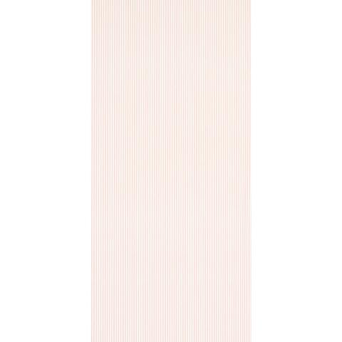 Edwin Stripe Narrow