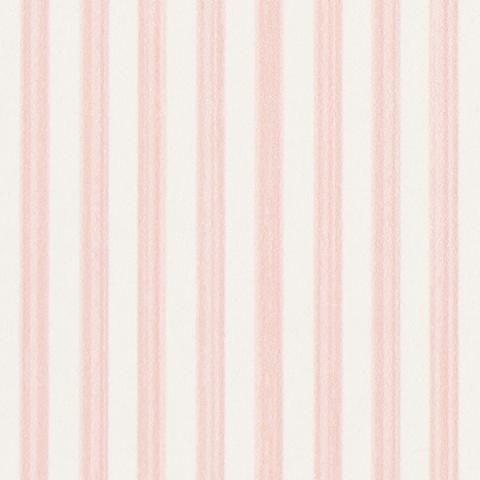 Edwin Stripe Narrow