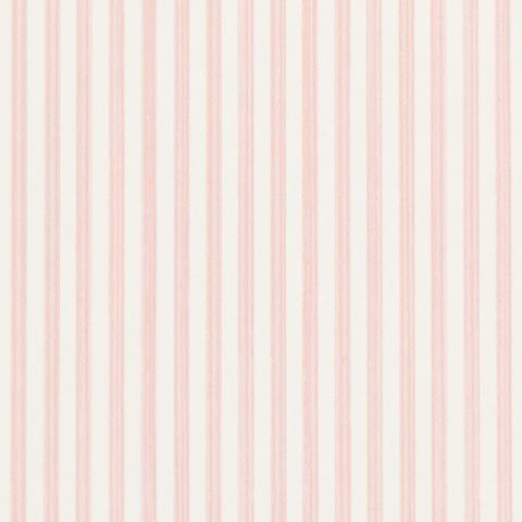 EDWIN STRIPE NARROW
