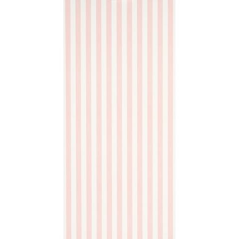 Edwin Stripe Medium