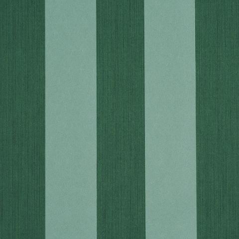EDWIN STRIPE WIDE
