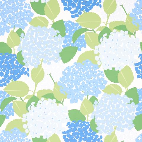 HYDRANGEA