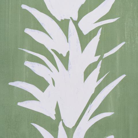 White Lotus
