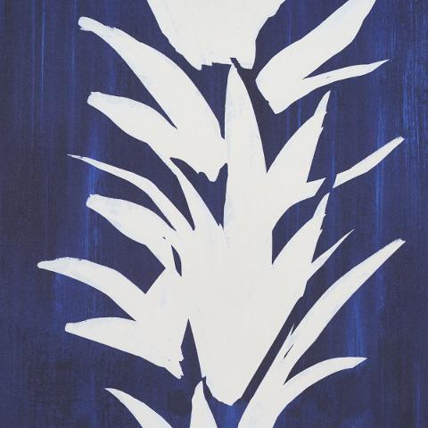 White Lotus