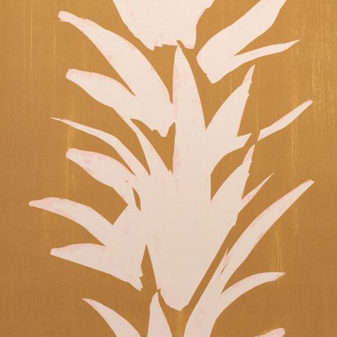 White Lotus