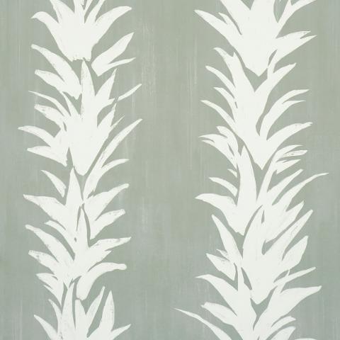 WHITE LOTUS