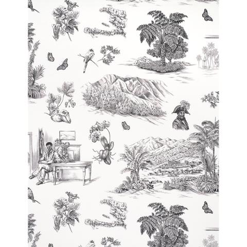 Toussaint Toile
