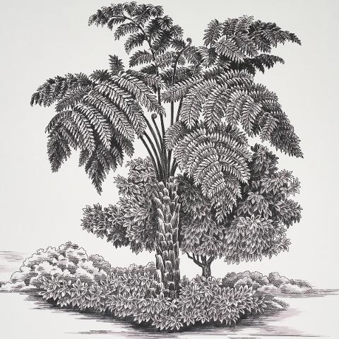 Toussaint Toile