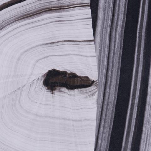 Agate Slice