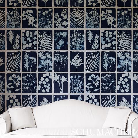 Cyanotype Panel