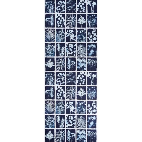 CYANOTYPE PANEL