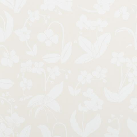 ORCHIDS HAVE DREAMS