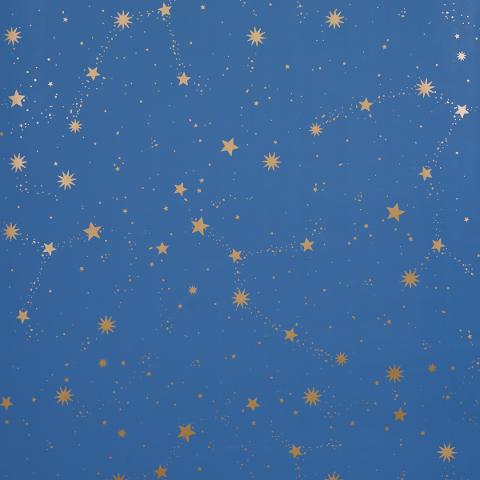 SCATTERED STARS