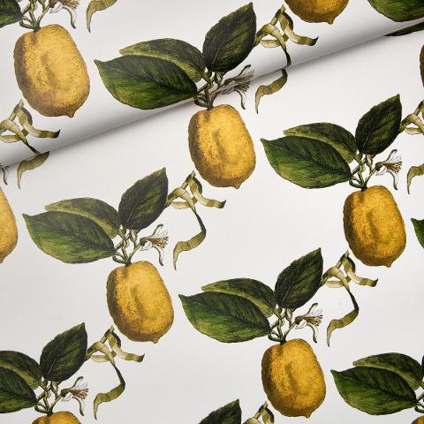 Le Citron