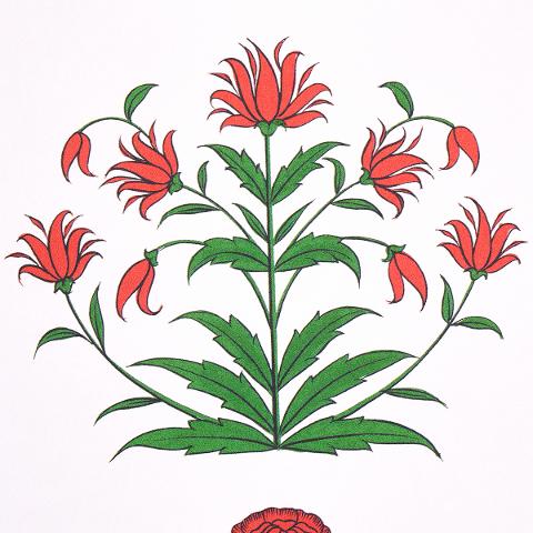Poppy Stripes