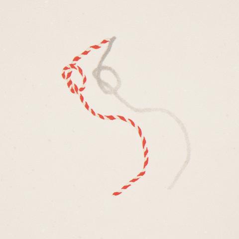 Butcher String