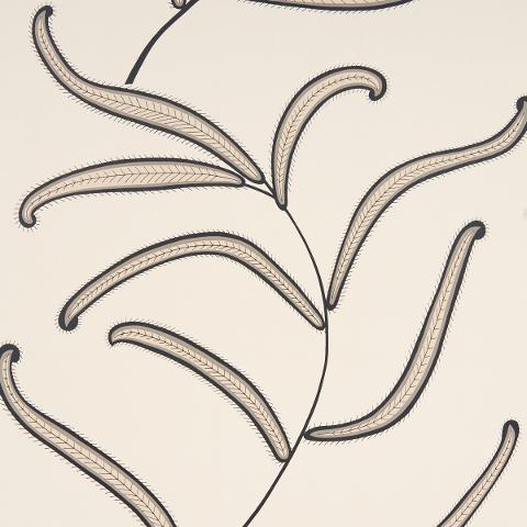 Caterpillar Leaf