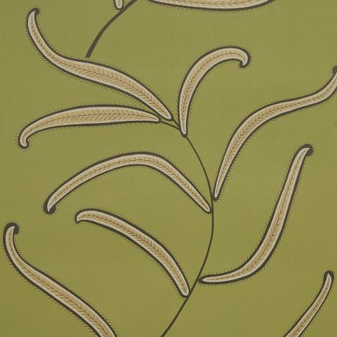 Caterpillar Leaf