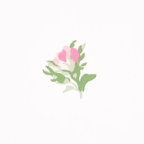Margie Floral
