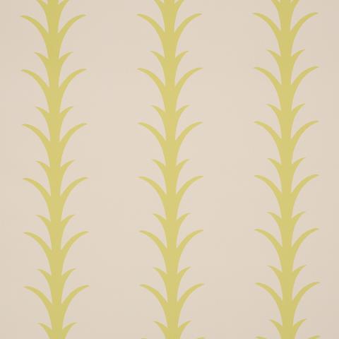 Acanthus Stripe