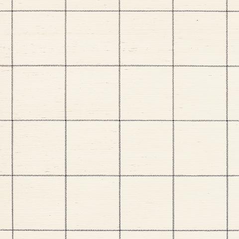 WINDOWPANE EMBROIDERED SISAL