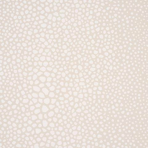 FICKLE TEXTURE