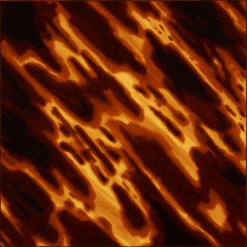 Tortoise Shell