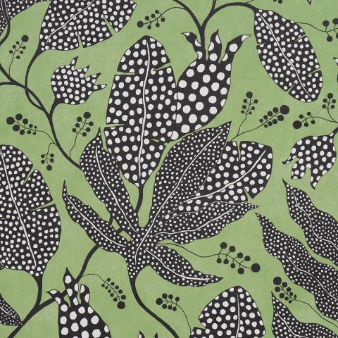 Polka Dot Jungle