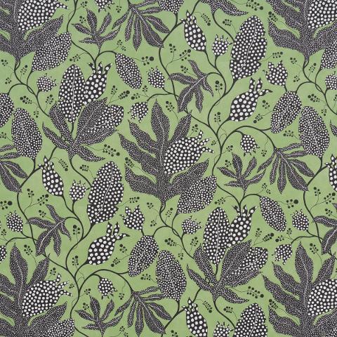 POLKA DOT JUNGLE