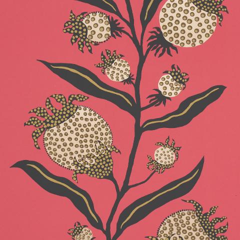 Thistle Vine
