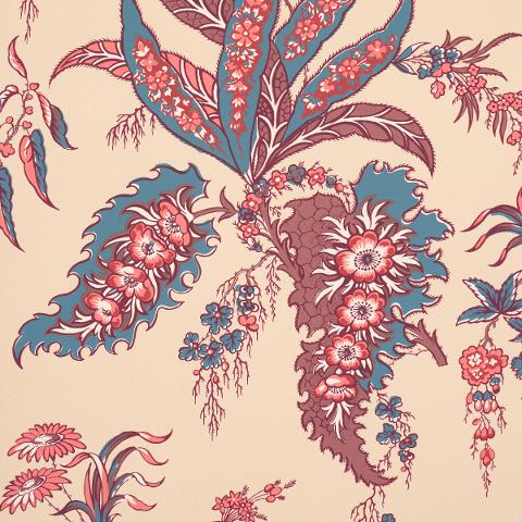 Apolline Botanical