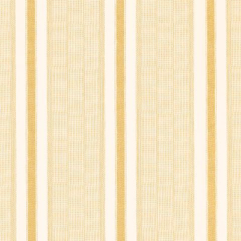 IPALA STRIPE VINYL