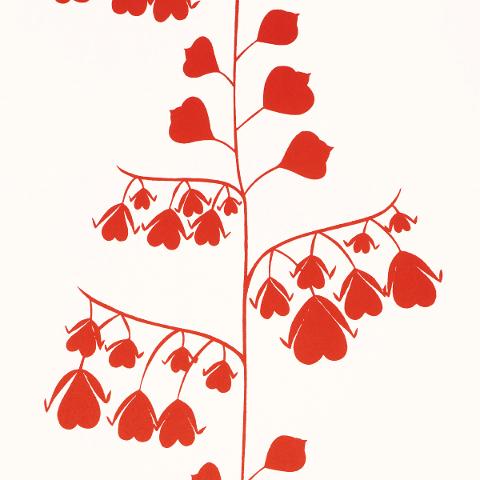 Bleeding Hearts
