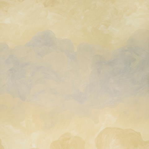 Painted Sky