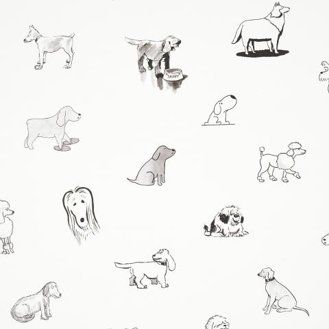Good Dogs Everywhere