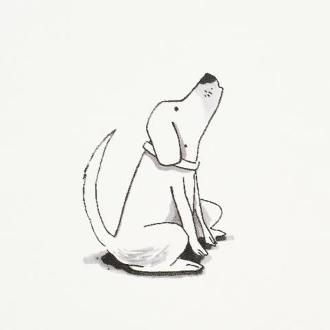 Good Dogs Everywhere