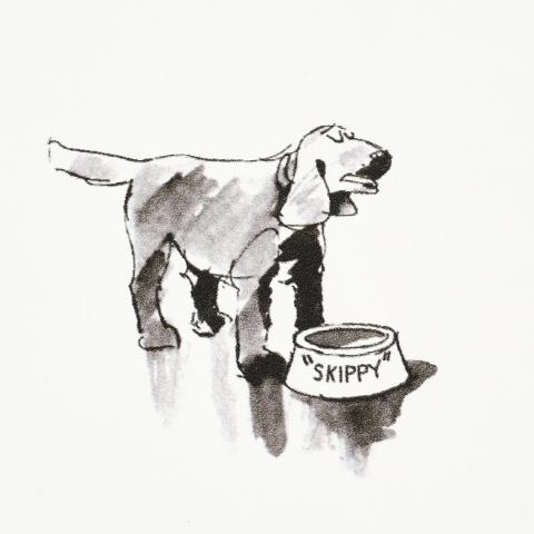 Good Dogs Everywhere