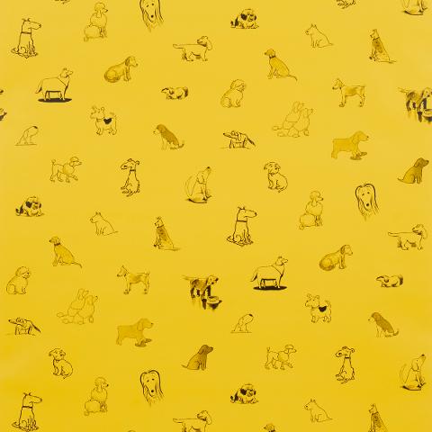 Good Dogs Everywhere