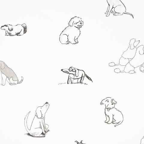 Good Dogs Everywhere
