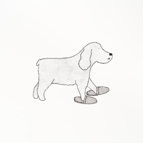 Good Dogs Everywhere