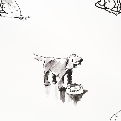 Good Dogs Everywhere