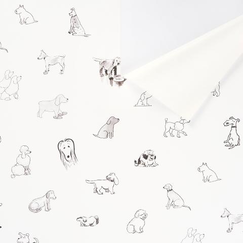 Good Dogs Everywhere
