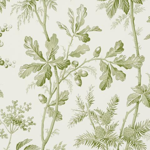 Brantwood Vine