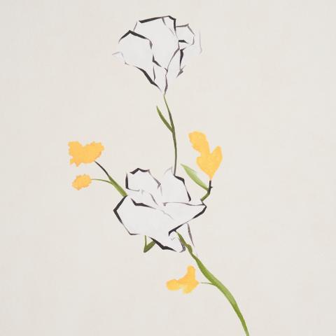 Alex's Floral