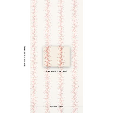 Coral Stripe