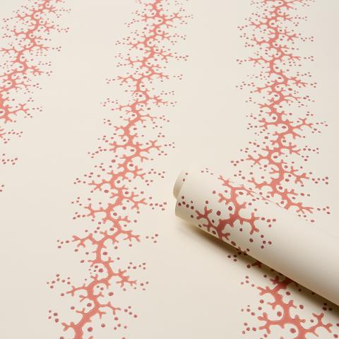 Coral Stripe