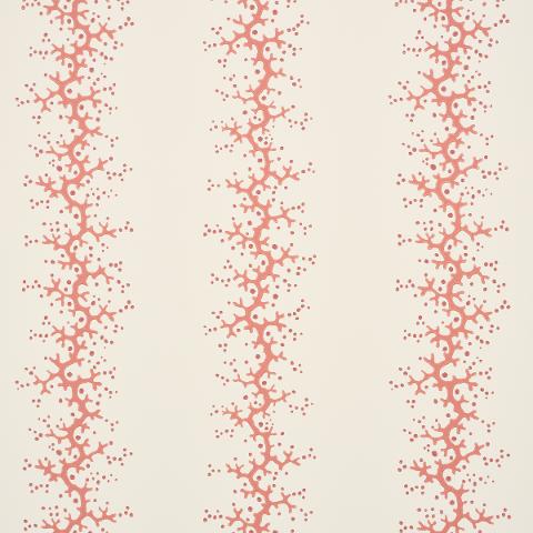 Coral Stripe