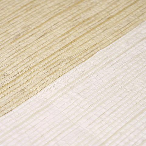 Backdrop Painter's Stripe