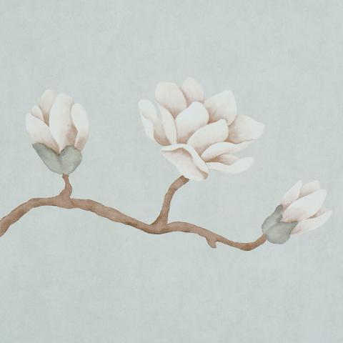 Magnolia Tree