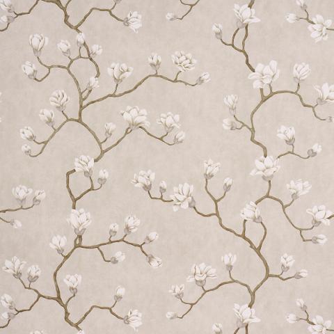 Magnolia Tree
